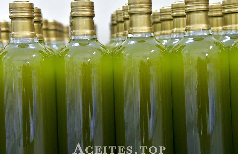 concursos aceite de oliva virgen extra